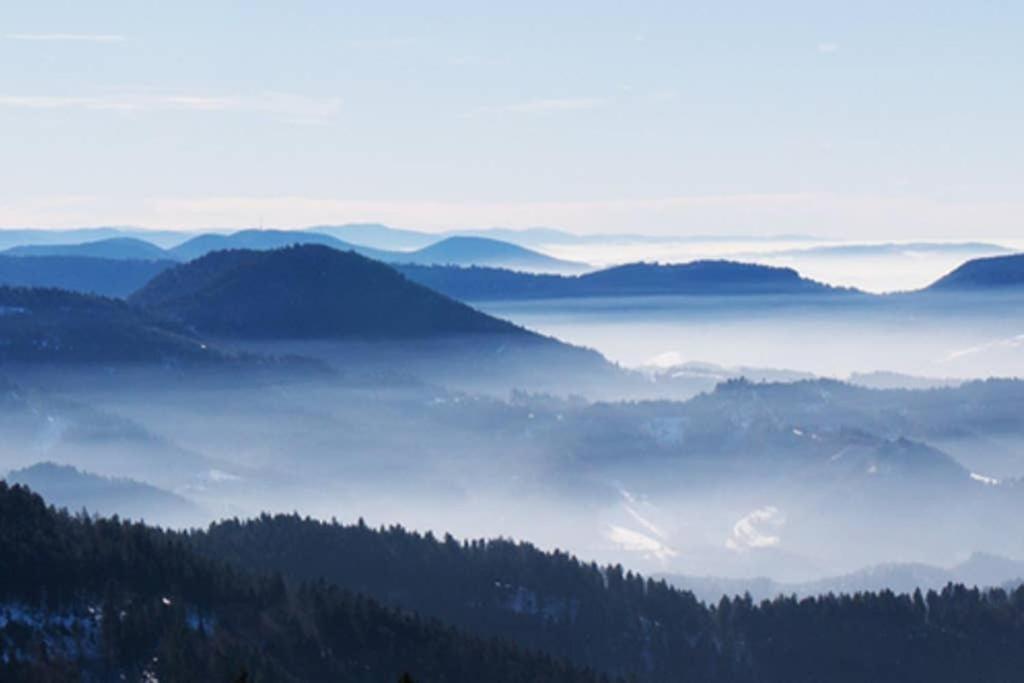 Schwarzwald - Gemuetliches 2 Zimmer Apartment! Dunningen Exteriér fotografie